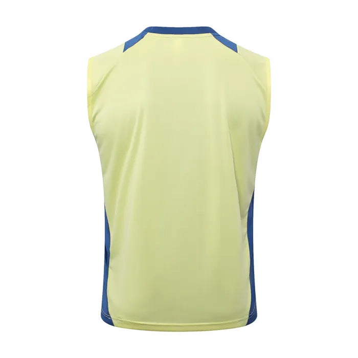 Ajax Training Jersey 24/25
