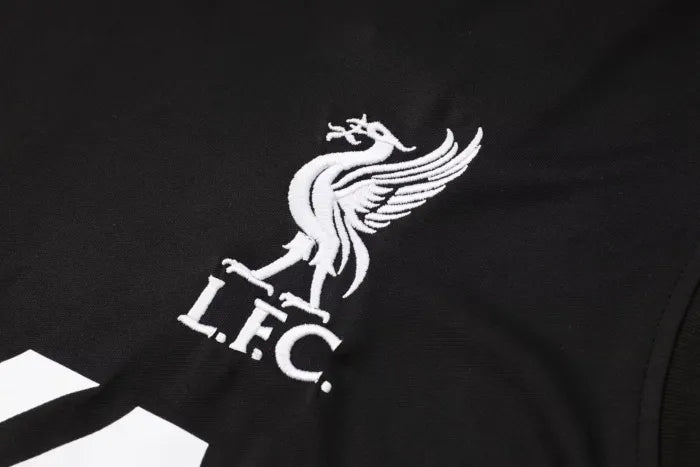 Liverpool Training Jersey 24/25