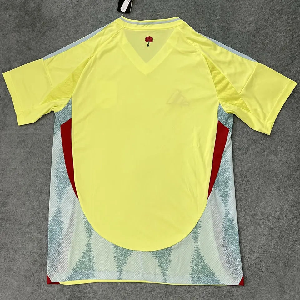 2024 Euros Spain Away Football Shirt